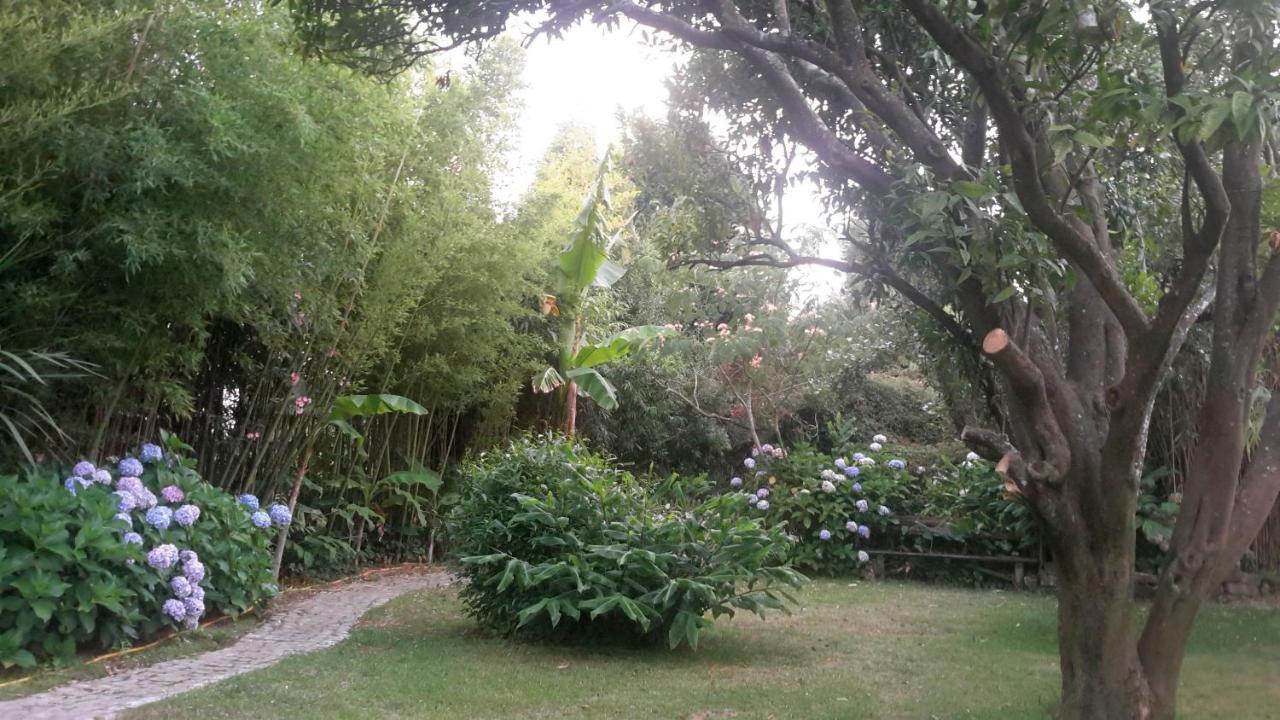 Bed and Breakfast Casa 3 Aguias Aveiro Zewnętrze zdjęcie