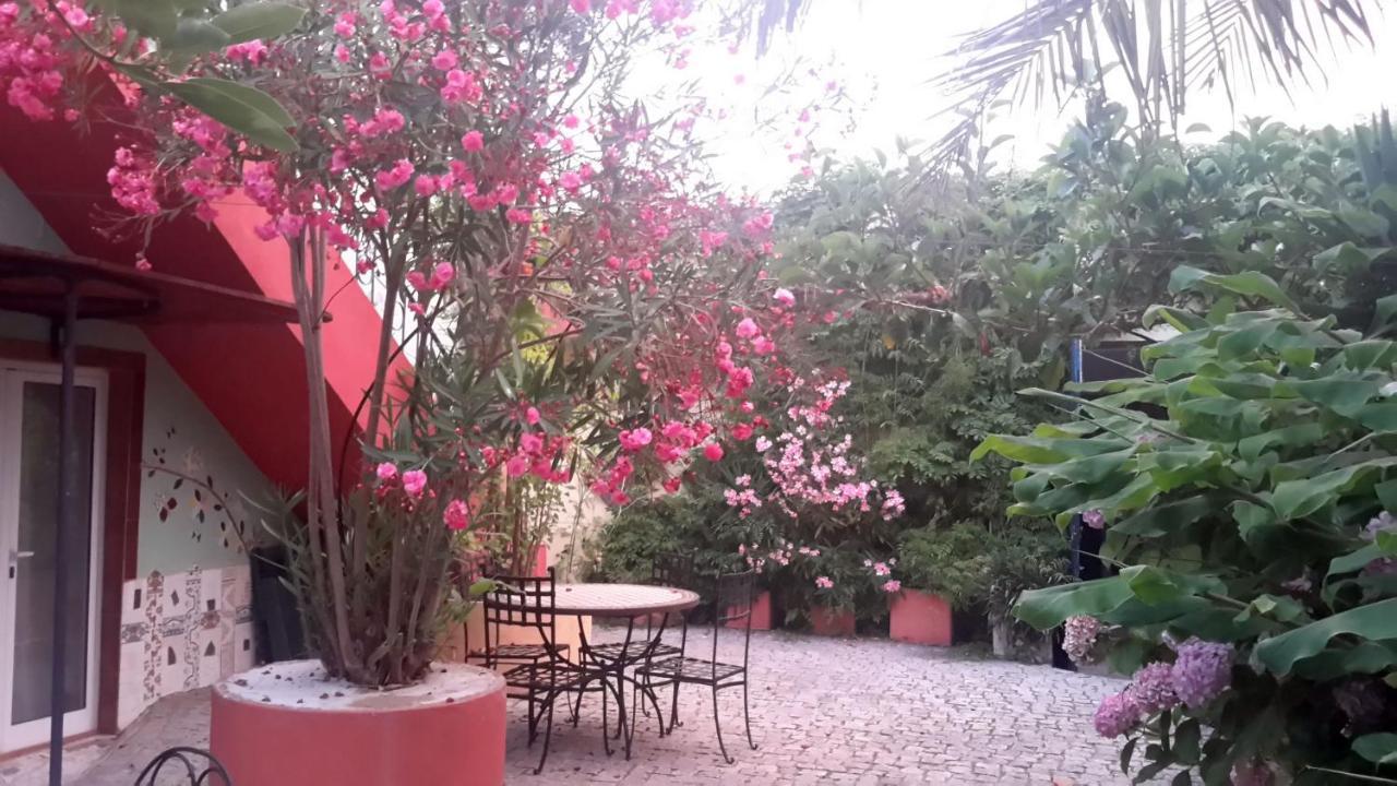 Bed and Breakfast Casa 3 Aguias Aveiro Zewnętrze zdjęcie