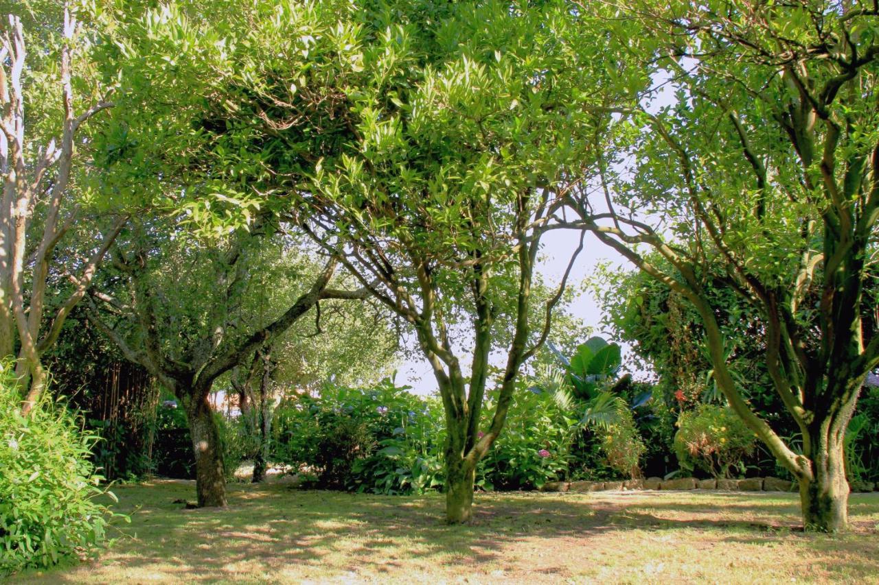 Bed and Breakfast Casa 3 Aguias Aveiro Zewnętrze zdjęcie