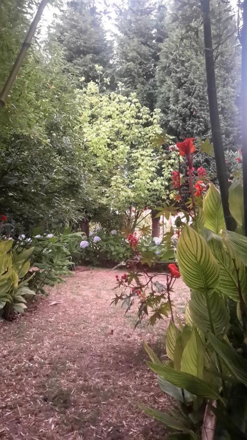 Bed and Breakfast Casa 3 Aguias Aveiro Zewnętrze zdjęcie